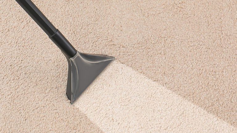 5 Nasties That Lurk In Office Carpets Even If They Appear Clean